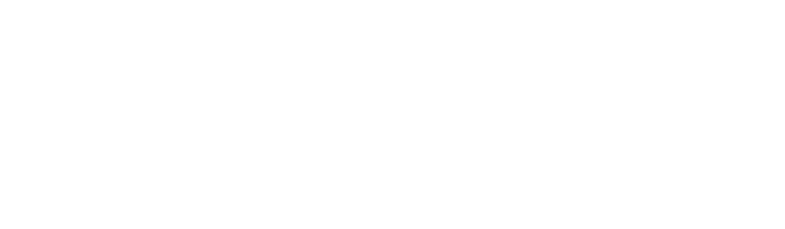 Skyvan Service